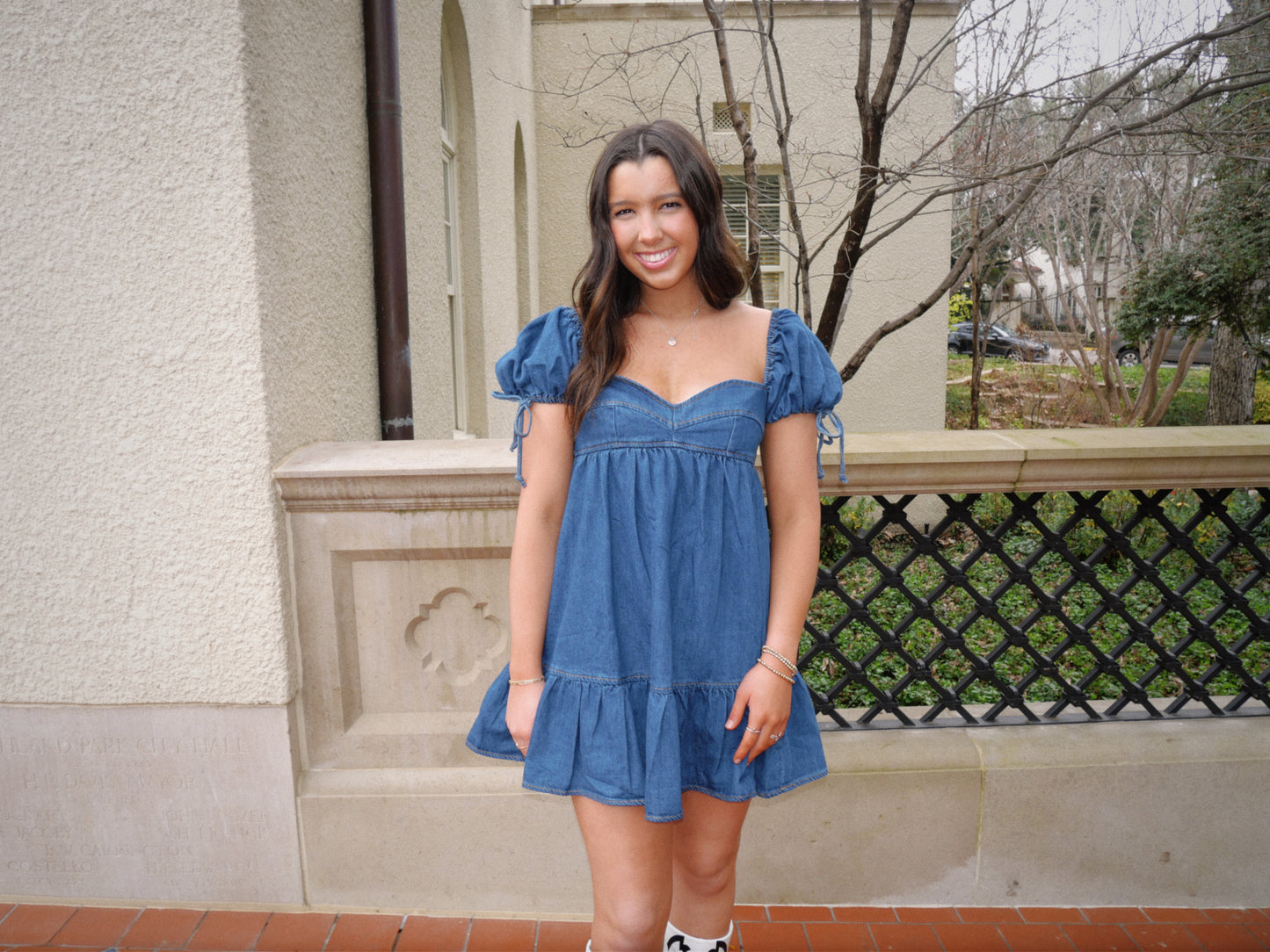 Daisy Denim Dress