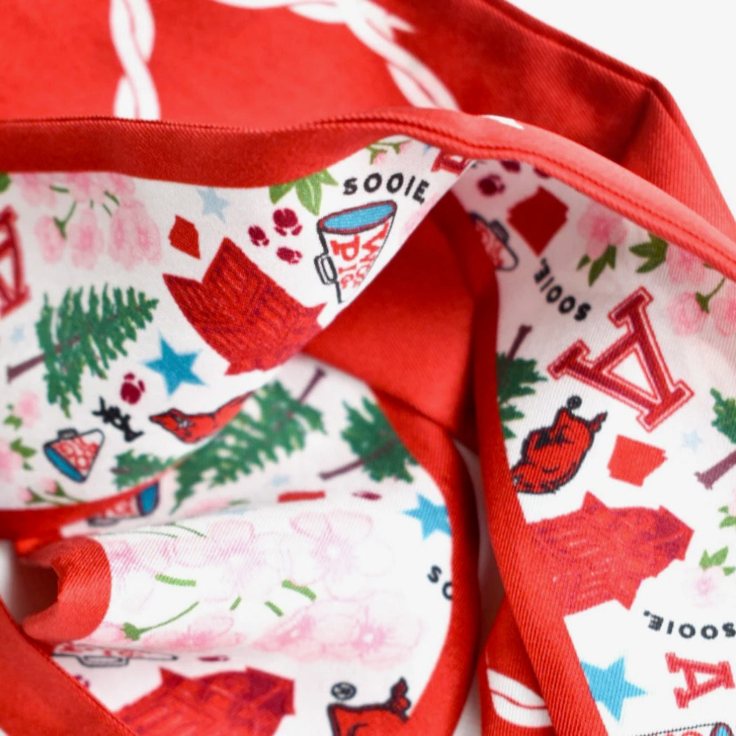 Arkansas Razorbacks Twilly Scarf